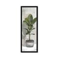 Picture of House Ficus _GroupedProduct_Panel_Portrait_Framed_Matted_