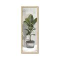 Picture of House Ficus _GroupedProduct_Panel_Portrait_Framed_Matted_