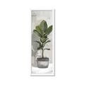 Picture of House Ficus _GroupedProduct_Panel_Portrait_Framed_Matted_