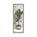 Picture of House Ficus _GroupedProduct_Panel_Portrait_Framed_Matted_