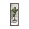 Picture of House Ficus _GroupedProduct_Panel_Portrait_Framed_Matted_
