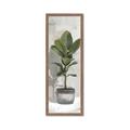 Picture of House Ficus _GroupedProduct_Panel_Portrait_Framed_Matted_