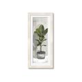 Picture of House Ficus _GroupedProduct_Panel_Portrait_Framed_Matted_