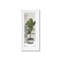 Picture of House Ficus _GroupedProduct_Panel_Portrait_Framed_Matted_