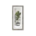 Picture of House Ficus _GroupedProduct_Panel_Portrait_Framed_Matted_