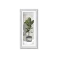 Picture of House Ficus _GroupedProduct_Panel_Portrait_Framed_Matted_