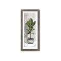 Picture of House Ficus _GroupedProduct_Panel_Portrait_Framed_Matted_