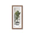 Picture of House Ficus _GroupedProduct_Panel_Portrait_Framed_Matted_