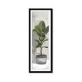 Picture of House Ficus _GroupedProduct_Panel_Portrait_Framed_Matted_