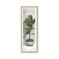 Picture of House Ficus _GroupedProduct_Panel_Portrait_Framed_Matted_