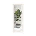 Picture of House Ficus _GroupedProduct_Panel_Portrait_Framed_Matted_
