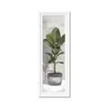 Picture of House Ficus _GroupedProduct_Panel_Portrait_Framed_Matted_