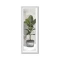 Picture of House Ficus _GroupedProduct_Panel_Portrait_Framed_Matted_