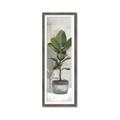 Picture of House Ficus _GroupedProduct_Panel_Portrait_Framed_Matted_