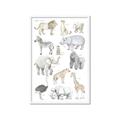 Picture of Zoo  Life _GroupedProduct_Rectangle_Portrait_Framed_Matted_