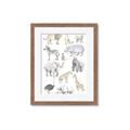 Picture of Zoo  Life _GroupedProduct_Rectangle_Portrait_Framed_Matted_