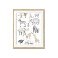 Picture of Zoo  Life _GroupedProduct_Rectangle_Portrait_Framed_Matted_