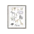 Picture of Zoo  Life _GroupedProduct_Rectangle_Portrait_Framed_Matted_