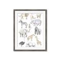 Picture of Zoo  Life _GroupedProduct_Rectangle_Portrait_Framed_Matted_