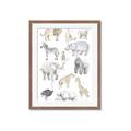 Picture of Zoo  Life _GroupedProduct_Rectangle_Portrait_Framed_Matted_