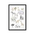 Picture of Zoo  Life _GroupedProduct_Rectangle_Portrait_Framed_Matted_