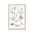 Picture of Zoo  Life _GroupedProduct_Rectangle_Portrait_Framed_Matted_