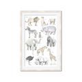 Picture of Zoo  Life _GroupedProduct_Rectangle_Portrait_Framed_Matted_