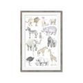 Picture of Zoo  Life _GroupedProduct_Rectangle_Portrait_Framed_Matted_