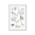 Picture of Zoo  Life _GroupedProduct_Rectangle_Portrait_Framed_Matted_