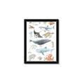 Picture of Sea Life _GroupedProduct_Rectangle_Portrait_Framed_Matted_