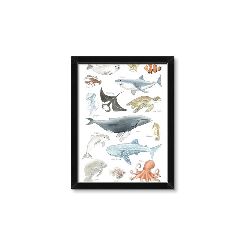 Picture of Sea Life _GroupedProduct_Rectangle_Portrait_Framed_Matted_