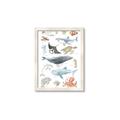 Picture of Sea Life _GroupedProduct_Rectangle_Portrait_Framed_Matted_