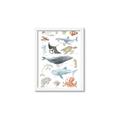 Picture of Sea Life _GroupedProduct_Rectangle_Portrait_Framed_Matted_