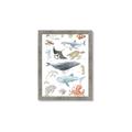 Picture of Sea Life _GroupedProduct_Rectangle_Portrait_Framed_Matted_