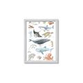 Picture of Sea Life _GroupedProduct_Rectangle_Portrait_Framed_Matted_