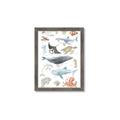 Picture of Sea Life _GroupedProduct_Rectangle_Portrait_Framed_Matted_