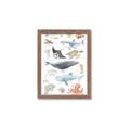 Picture of Sea Life _GroupedProduct_Rectangle_Portrait_Framed_Matted_