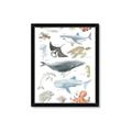 Picture of Sea Life _GroupedProduct_Rectangle_Portrait_Framed_Matted_