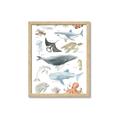Picture of Sea Life _GroupedProduct_Rectangle_Portrait_Framed_Matted_