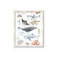 Picture of Sea Life _GroupedProduct_Rectangle_Portrait_Framed_Matted_