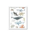 Picture of Sea Life _GroupedProduct_Rectangle_Portrait_Framed_Matted_