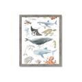 Picture of Sea Life _GroupedProduct_Rectangle_Portrait_Framed_Matted_