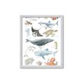 Picture of Sea Life _GroupedProduct_Rectangle_Portrait_Framed_Matted_