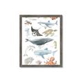 Picture of Sea Life _GroupedProduct_Rectangle_Portrait_Framed_Matted_