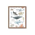 Picture of Sea Life _GroupedProduct_Rectangle_Portrait_Framed_Matted_