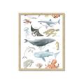 Picture of Sea Life _GroupedProduct_Rectangle_Portrait_Framed_Matted_