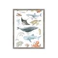 Picture of Sea Life _GroupedProduct_Rectangle_Portrait_Framed_Matted_