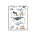 Picture of Sea Life _GroupedProduct_Rectangle_Portrait_Framed_Matted_