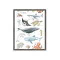 Picture of Sea Life _GroupedProduct_Rectangle_Portrait_Framed_Matted_