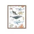 Picture of Sea Life _GroupedProduct_Rectangle_Portrait_Framed_Matted_